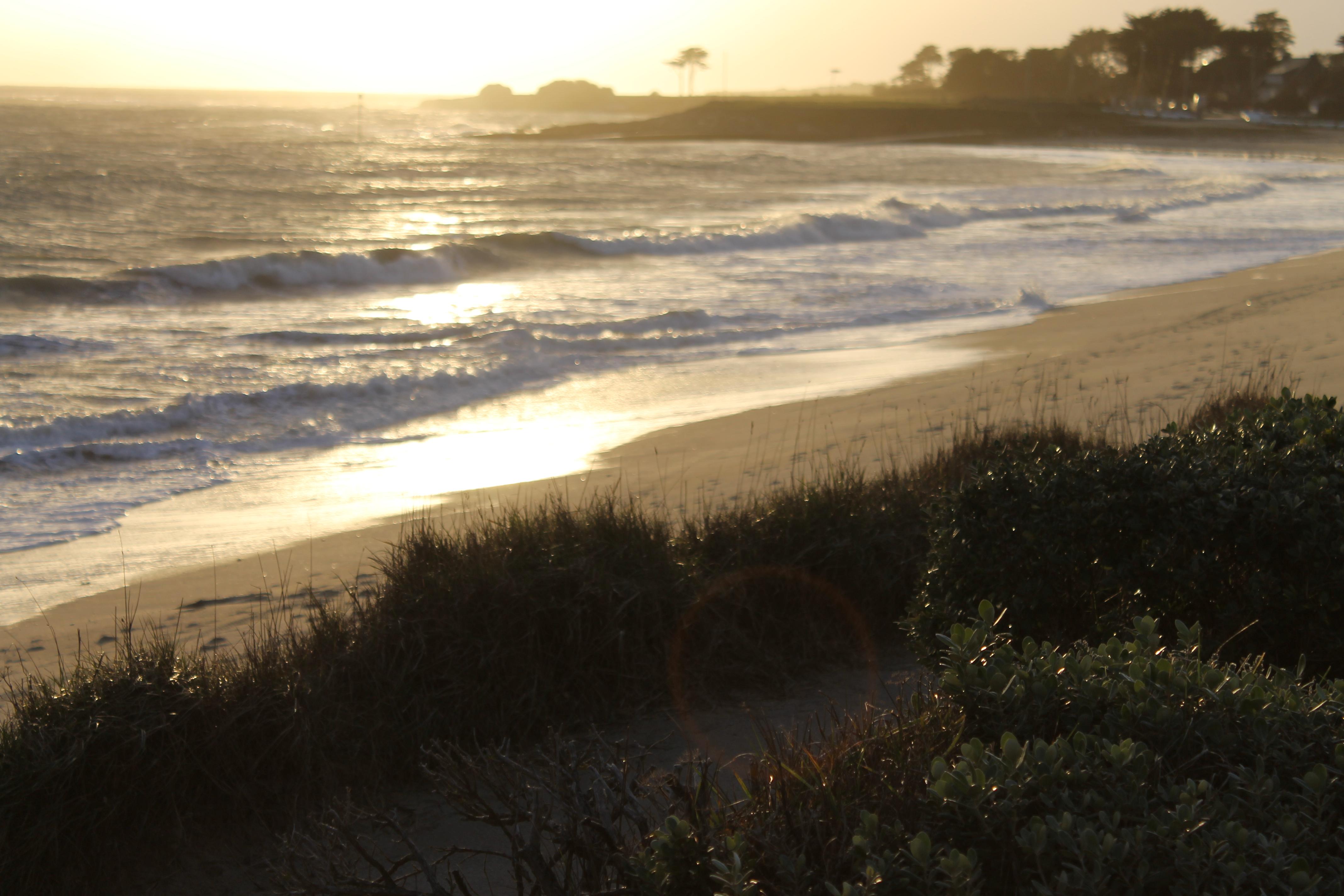 Logis Hotel & Restaurant Les Mouettes - Larmor Plage, Proche De Lorient 外观 照片