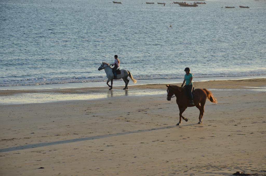 Logis Hotel & Restaurant Les Mouettes - Larmor Plage, Proche De Lorient 外观 照片
